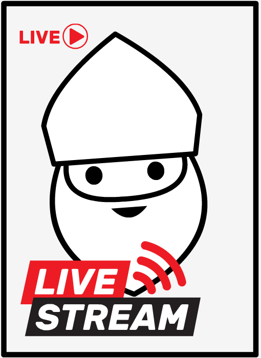 Online Sinterklaas feest, live stream, camera, zoom, teams, youtube